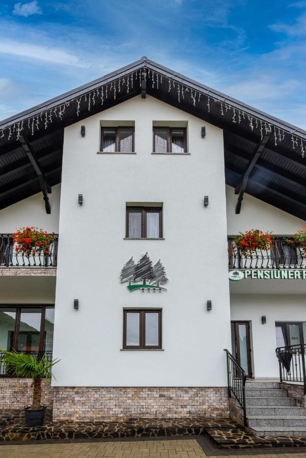 Pensiunea Paradisul Verde Moisei Buitenkant foto