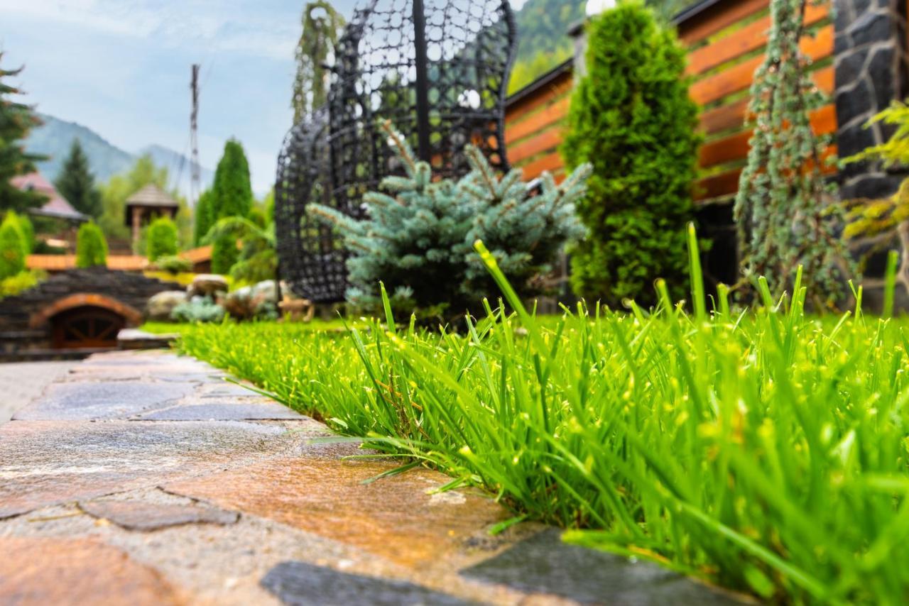Pensiunea Paradisul Verde Moisei Buitenkant foto